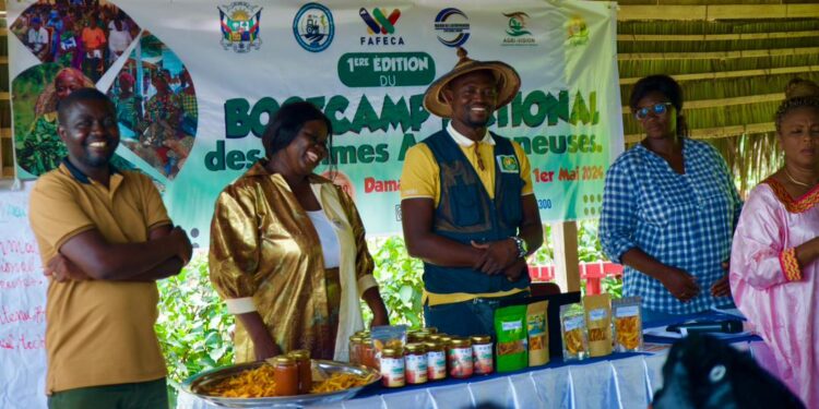 Agriculture locale en Centrafrique : Les femmes cultivatrices explorent de nouvelles opportunités.
