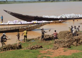 [Bénin-Niger] Trafic transfrontalier : le fleuve Niger, le boulevard d’intenses activités illégales