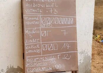 Élections des Professionnels des médias : Que disent les résultats provisoires.