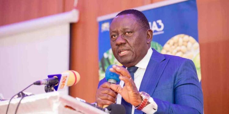 Sortie frauduleuse des engrais agricoles : Le ministre Dossouhoui hausse le ton