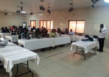 Lutte contre le diabète et l’hypertension artérielle : L’Ong Diabète-Bénin forme des professionnels des médias à Parakou