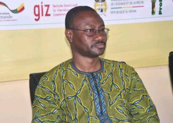 Lenteur administrative à l’UP : Les étudiants de la Flash en détresse !