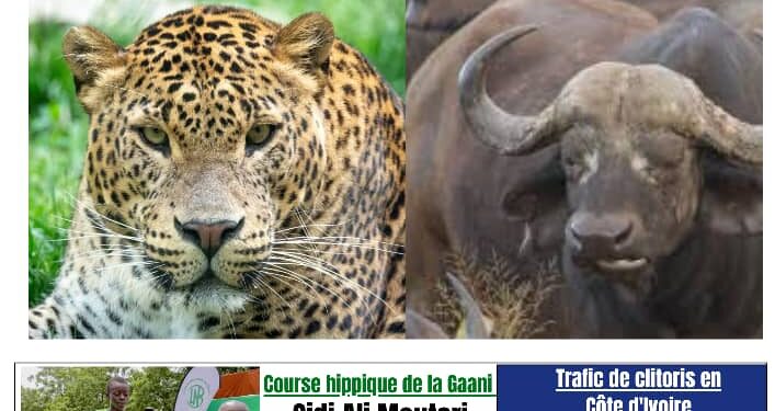 Vendredi 20 Septembre 2024 : Voici le dernier numéro de la semaine