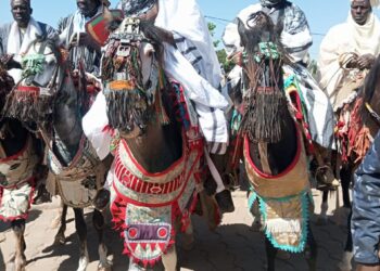 Formation des élus du BR : « Rachidi Gbadamassi, un modèle de militantisme » selon Dafia Wonkourou
