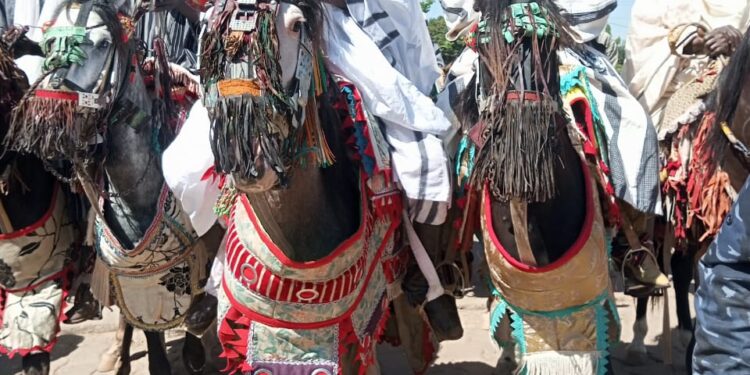 Formation des élus du BR : « Rachidi Gbadamassi, un modèle de militantisme » selon Dafia Wonkourou