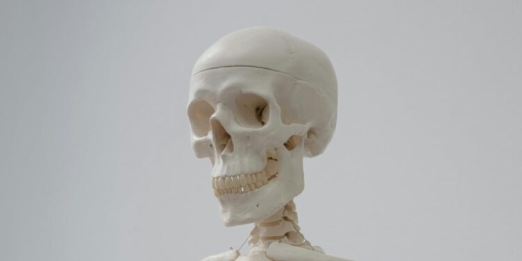 Justice / Conduit à Toffo après son arrestation : les raisons du transfèrement du gardien du cimetière de Parakou