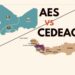 Pays de l’AES – CÉDÉAO : Le divorce est définitif dès ce 29 janvier.