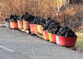 Taxation du charbon : Quid de la capacité des ménages pour le gaz domestique