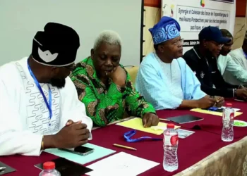 Financement de l’audit du fichier électoral – Opposition : Telle une tête du lion sur un plateau d’or