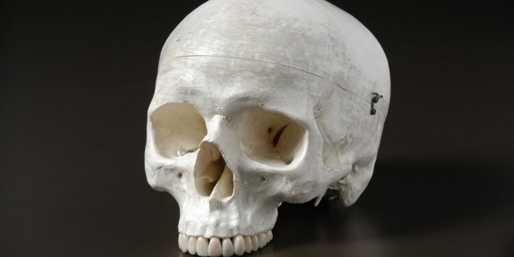 Meurtres rituels et trafic de corps : le Bénin face à une crise morale