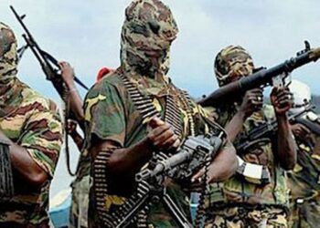 Parc W sous feu : une attaque terroriste sans précédent