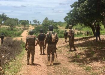 Enquête – Bénin : l’ombre du terrorisme sur l’agriculture et l’élevage