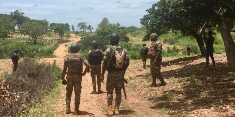 Enquête – Bénin : l’ombre du terrorisme sur l’agriculture et l’élevage