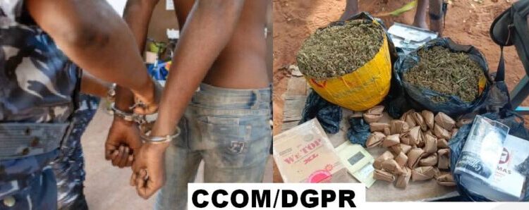 Lutte antidrogue : la Police républicaine frappe fort à Djougou et Ouèssè