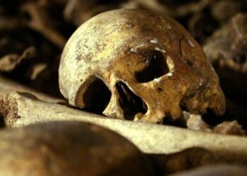 Parakou : quatre individus arrêtés pour trafic de restes humains au cimetière