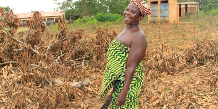 Retour en classe – Cantines scolaires: à Gnizounmè la communauté à l’œuvre pour une rentrée scolaire réussie