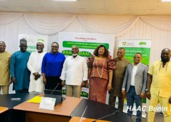 Législatives et Communales : tirage au sort transparent à la HAAC