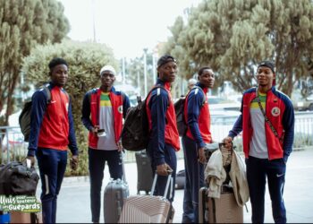 Handball : les Guépards prêts à défier l’Afrique