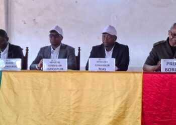 Politique -Retrait de Boni Yayi : un manque à gagner pour certains Klébers