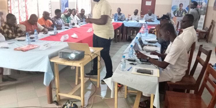 Projet Hope Children Art les Bibou : AJePEC ONG fait le bilan et trace l’avenir