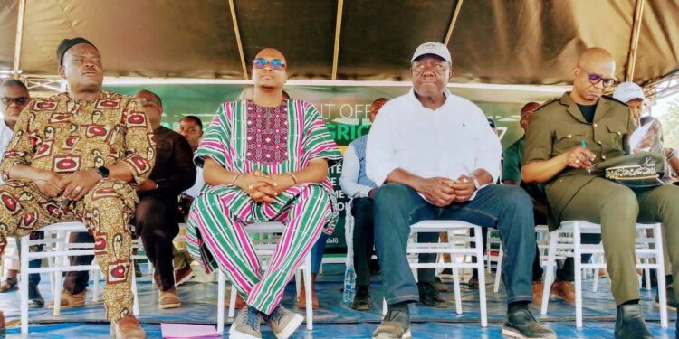 Agriculture : le Bénin lance sa nouvelle campagne à N’dali