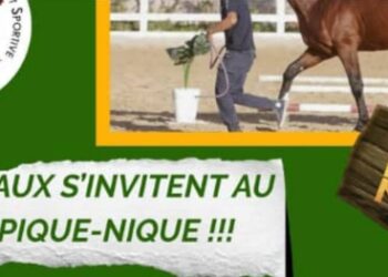 Hikari Pique-Nique : Le plus grand rendez-vous du week-end à ne pas rater