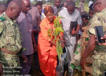 42e Journée nationale de l’arbre : Face aux défis climatiques, Parakou plante l’espoir