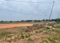 Parakou sans hippodrome : comment la capitale du cheval continue de galoper dans la poussière des promesses