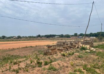 Parakou sans hippodrome : comment la capitale du cheval continue de galoper dans la poussière des promesses