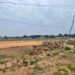 Parakou sans hippodrome : comment la capitale du cheval continue de galoper dans la poussière des promesses